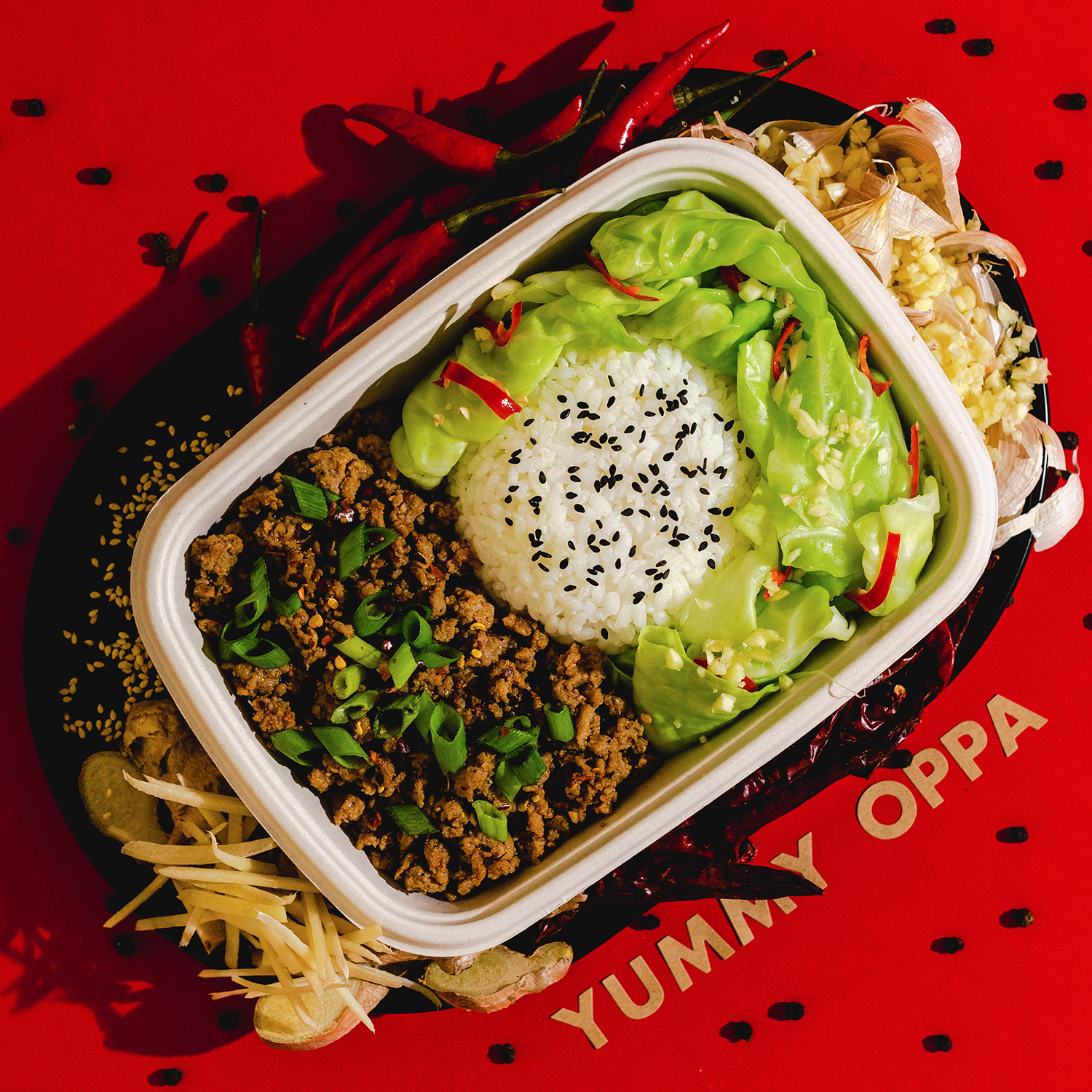 Yummy Chicken Bulgogi